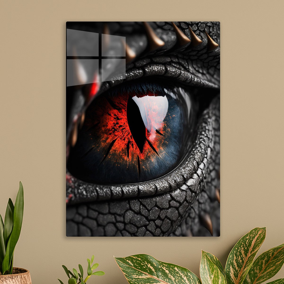 Black Dragon Eye