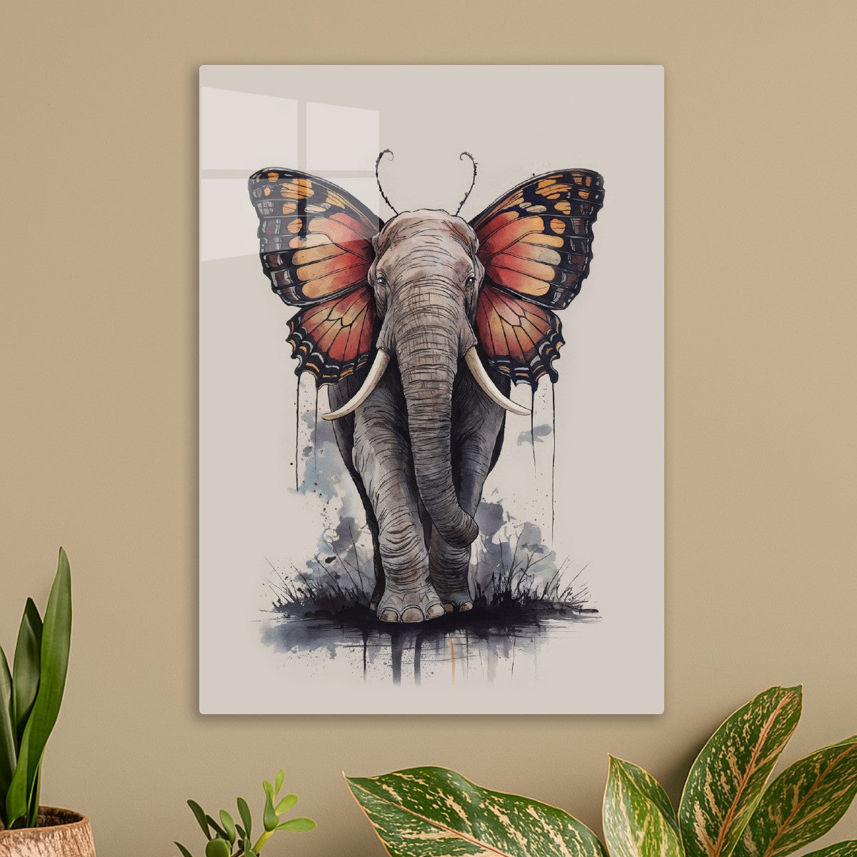 Butterfly Elephant Ears