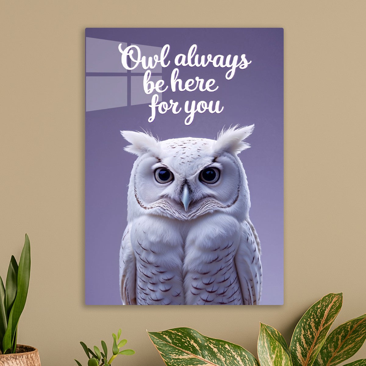 Owl Always be here for you