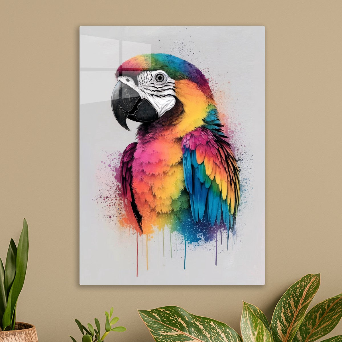 Colorful Parrot Abstract 