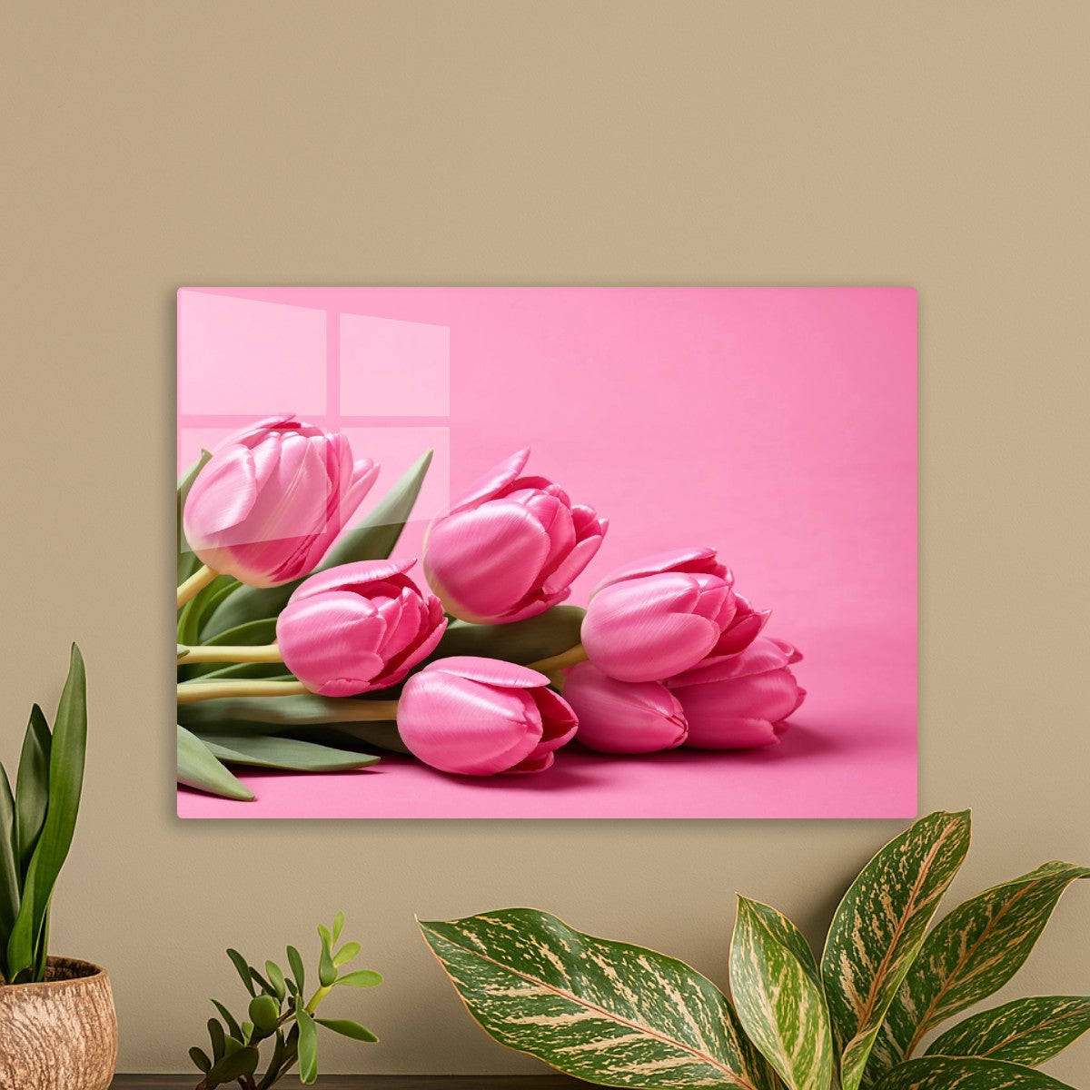 Pink Tulips photography