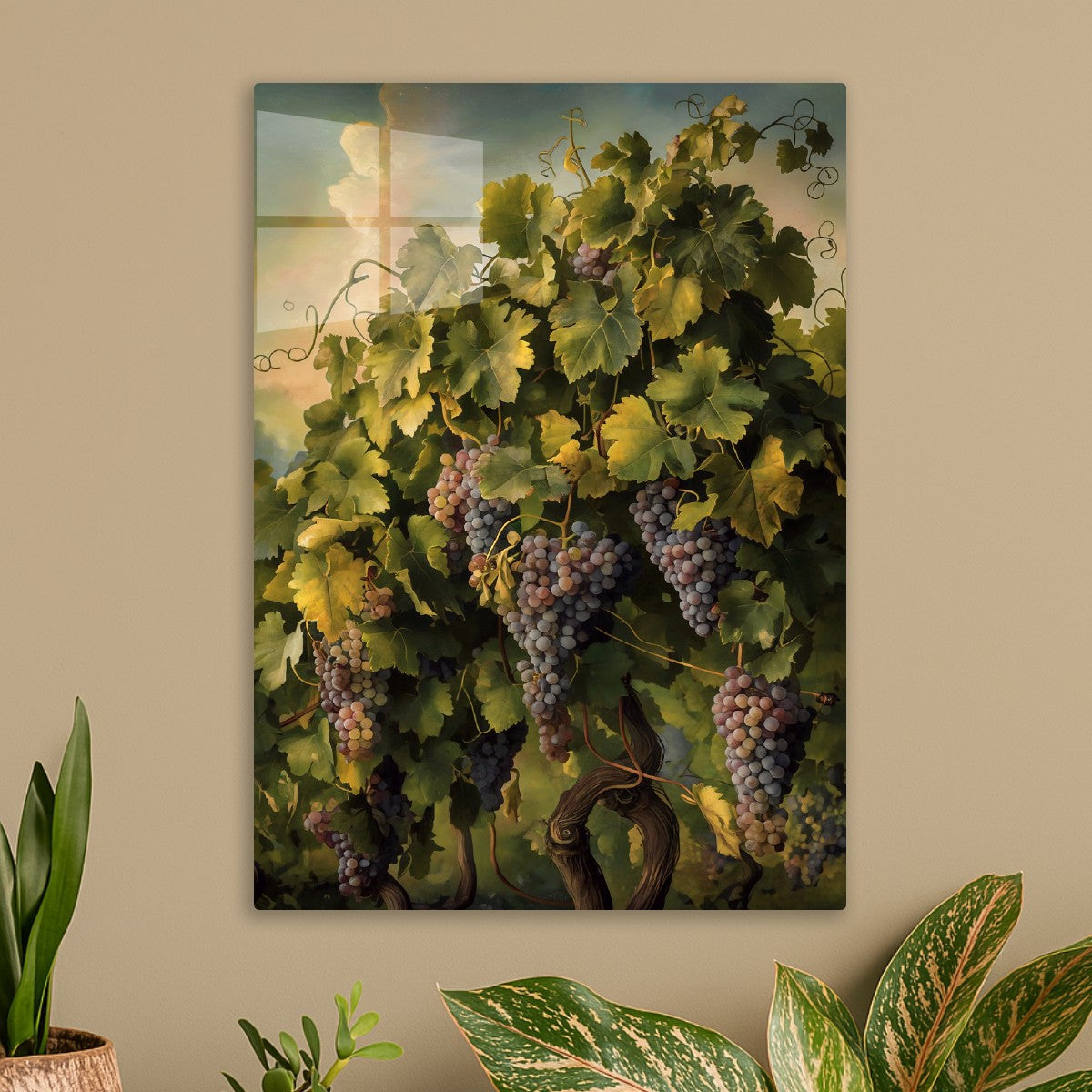 Grapes on the Vine
