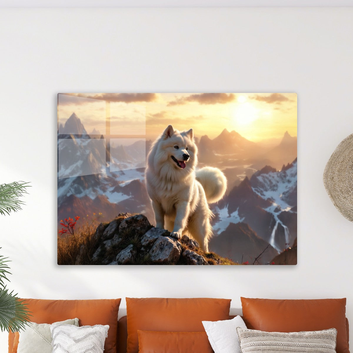 Adventures samoyed