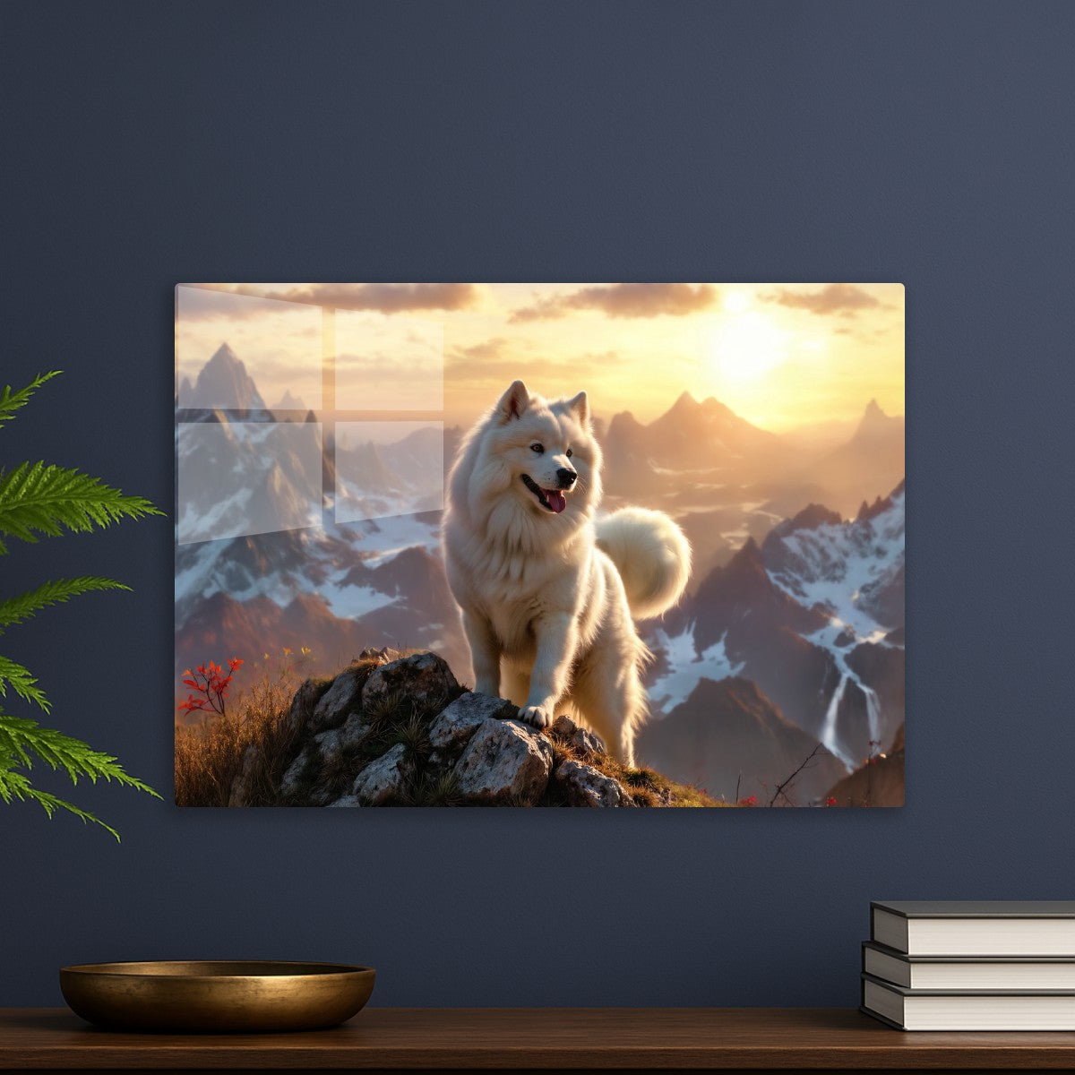 Adventures samoyed