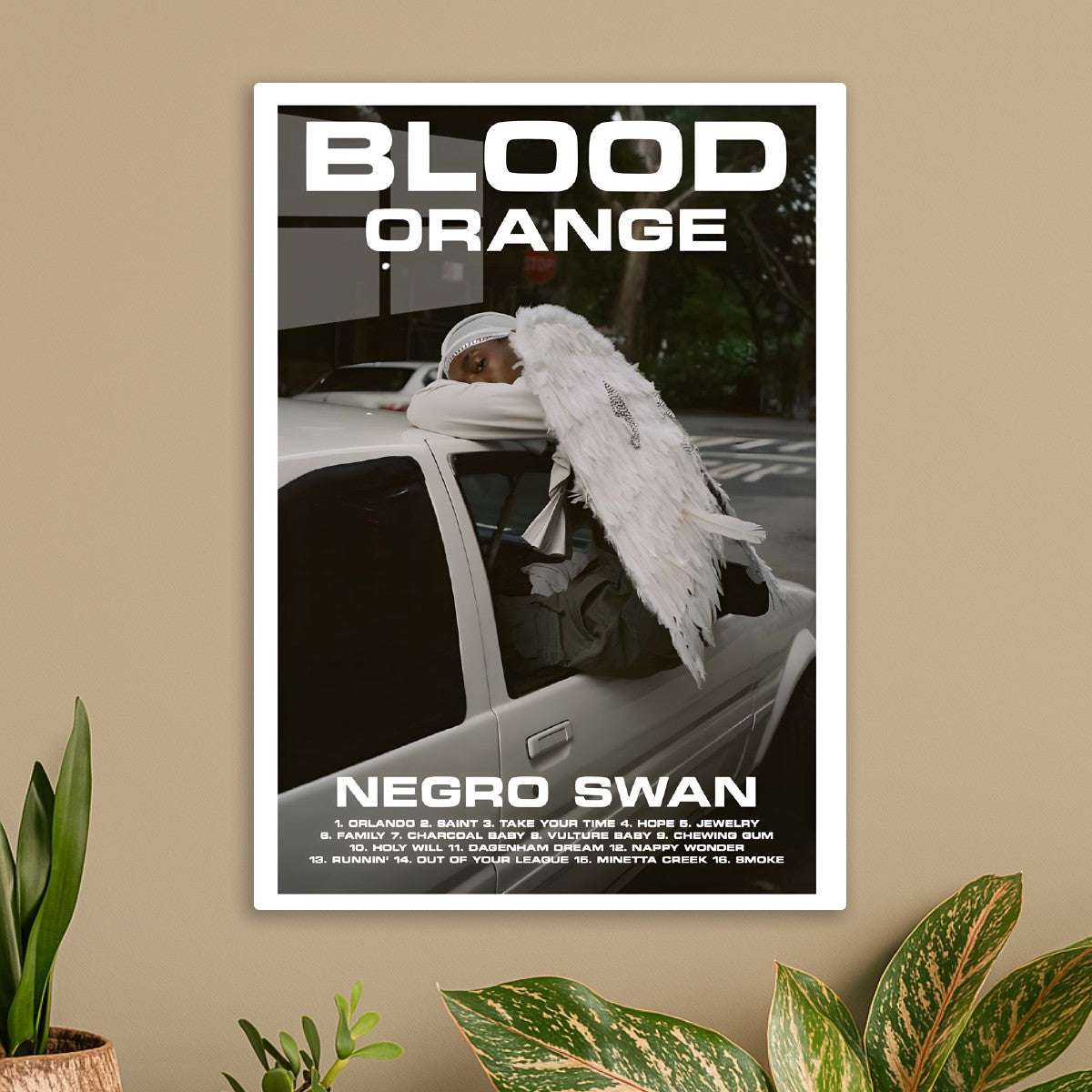 Blood Orange - Negro Swan
