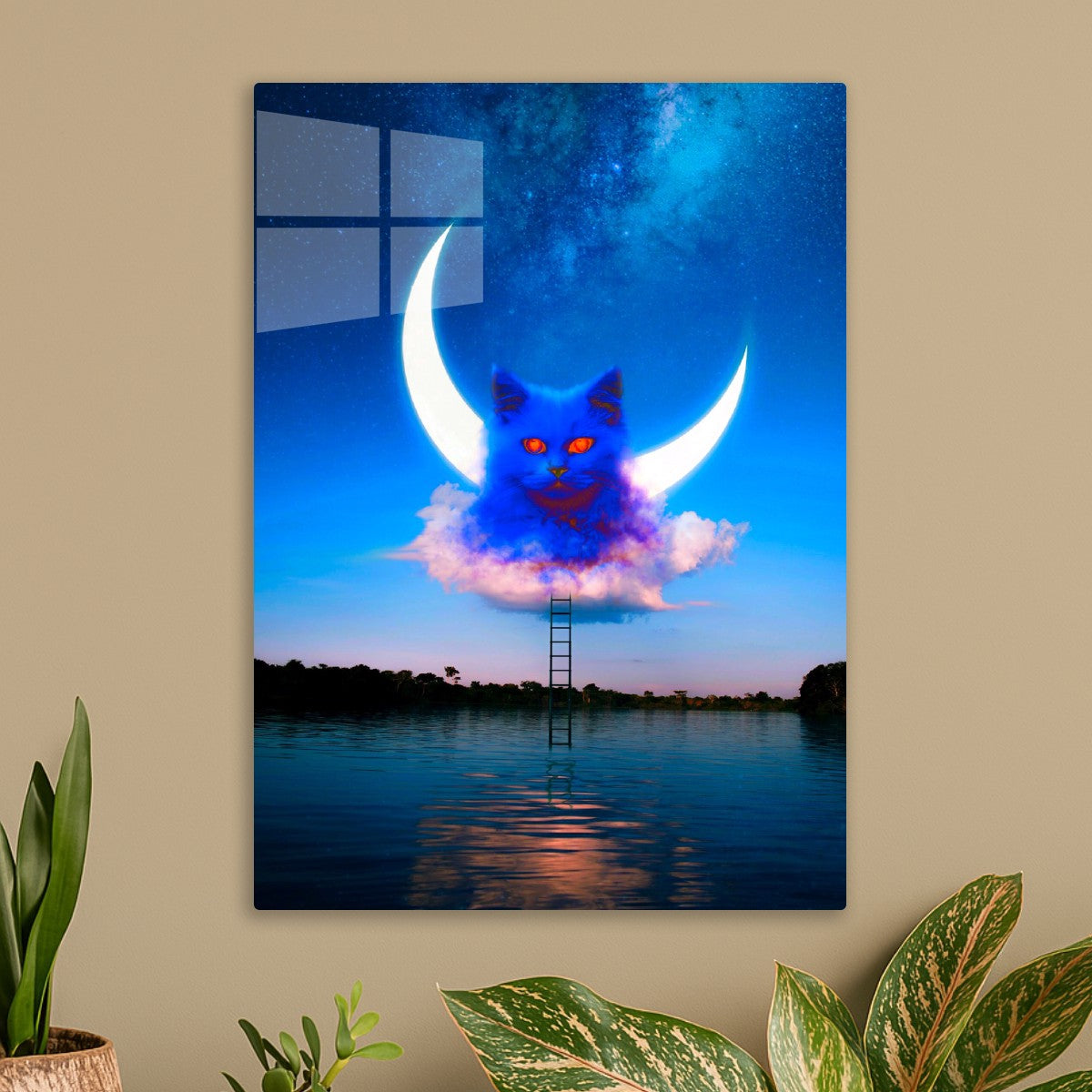 Cat Moon