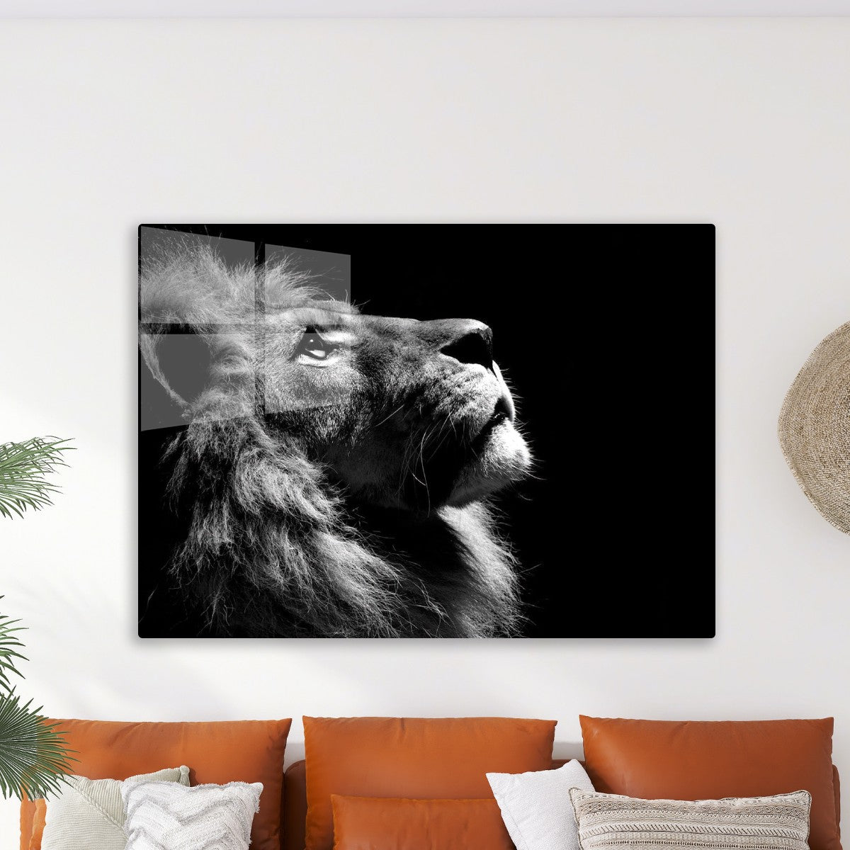lion