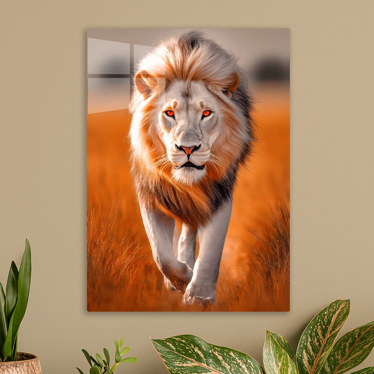 male lion