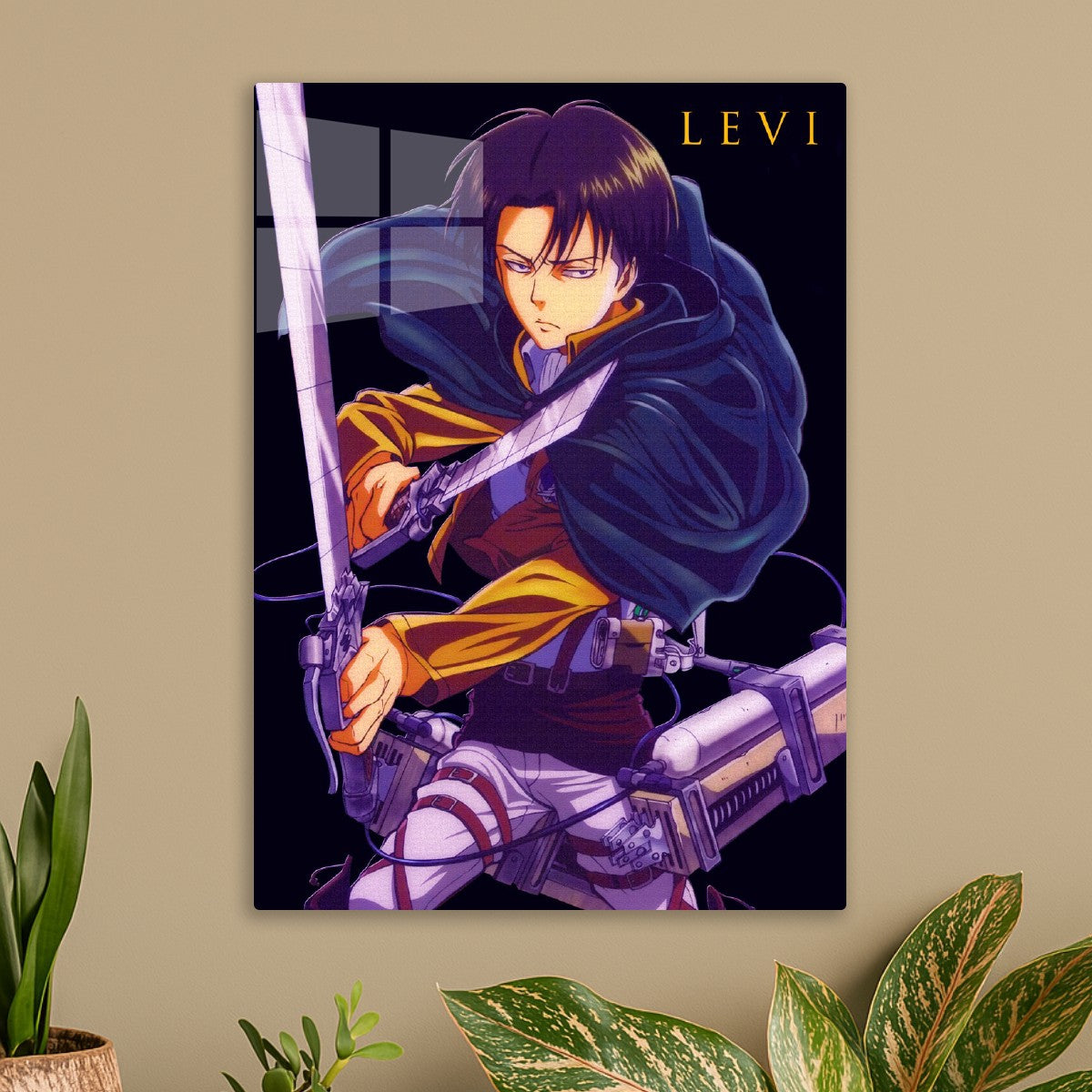 Levi