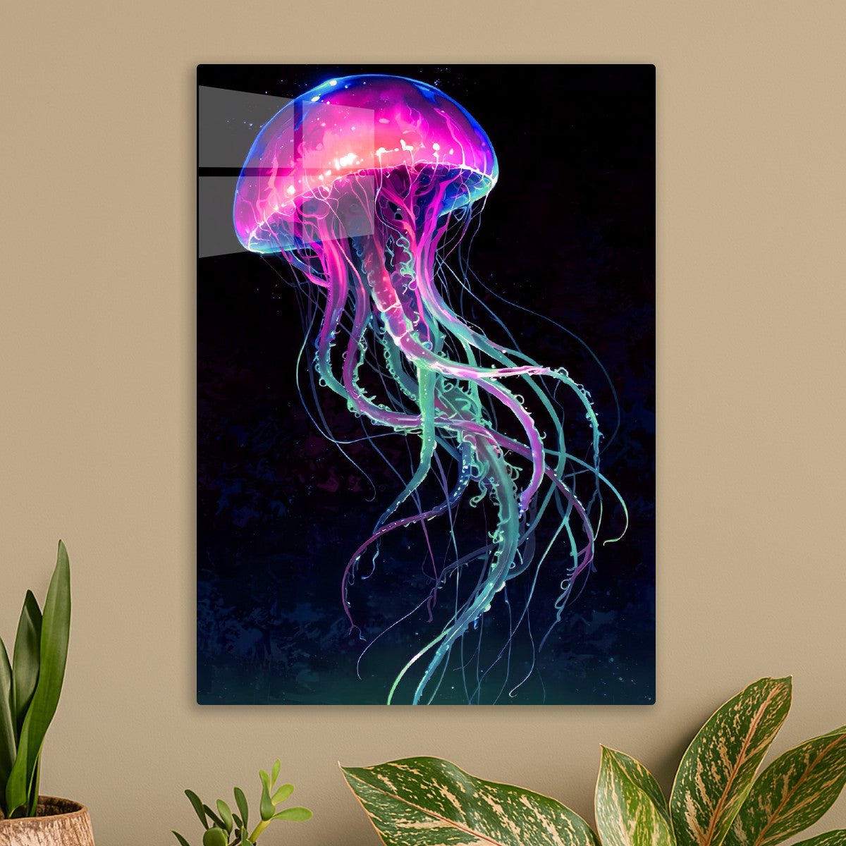 jellyfish