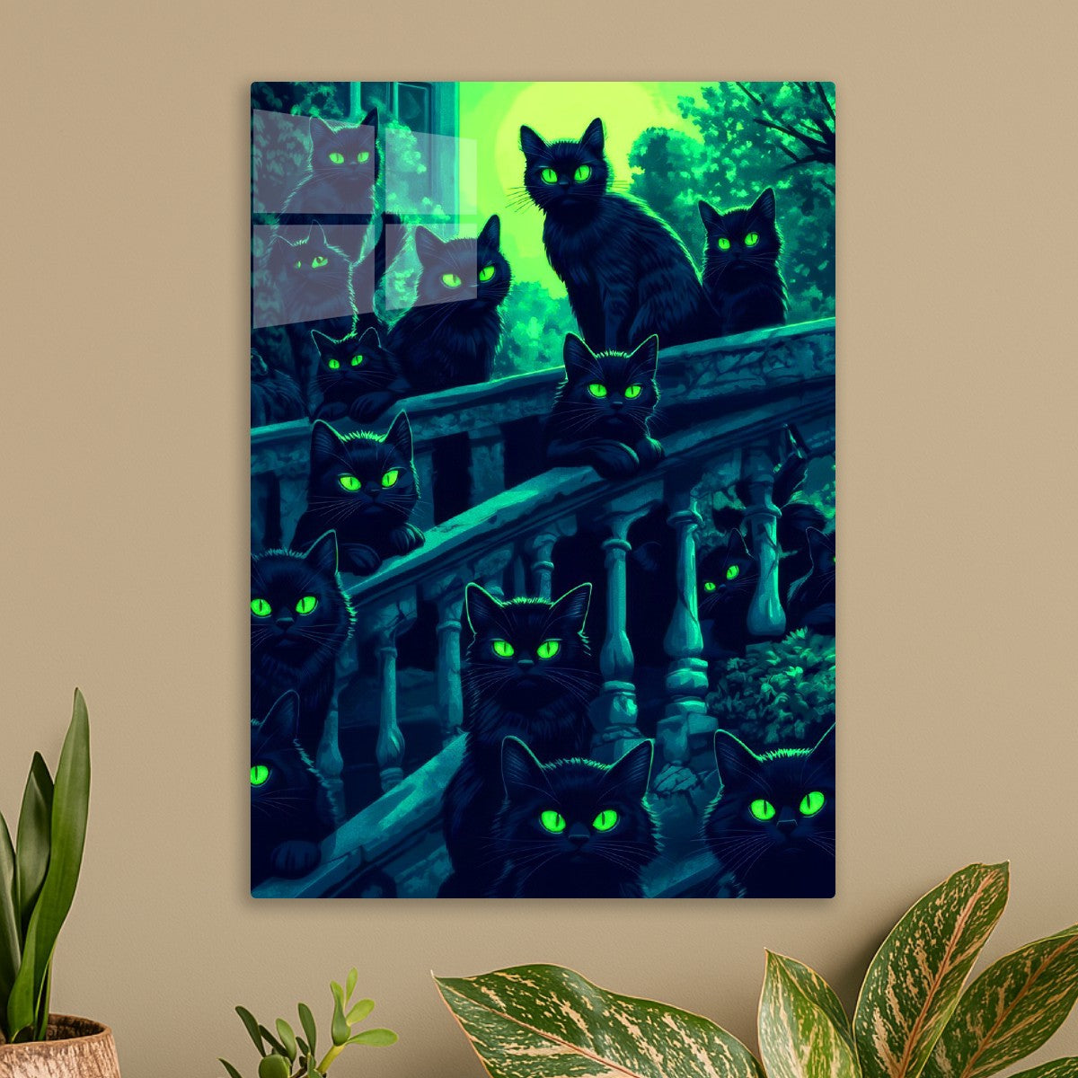 Black cat