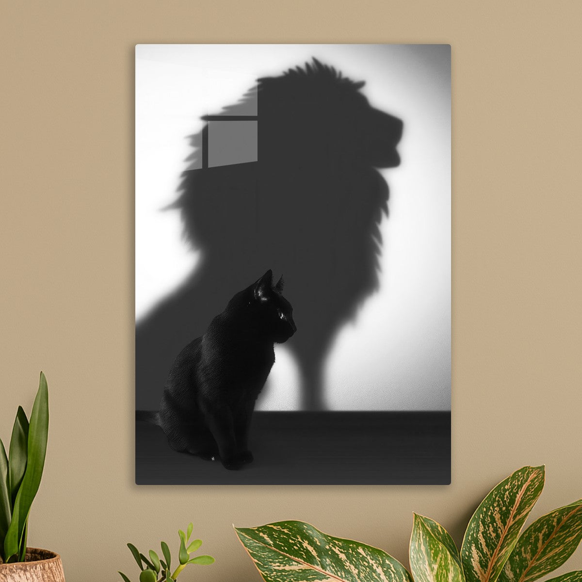 Black Cat and Lion Shadow