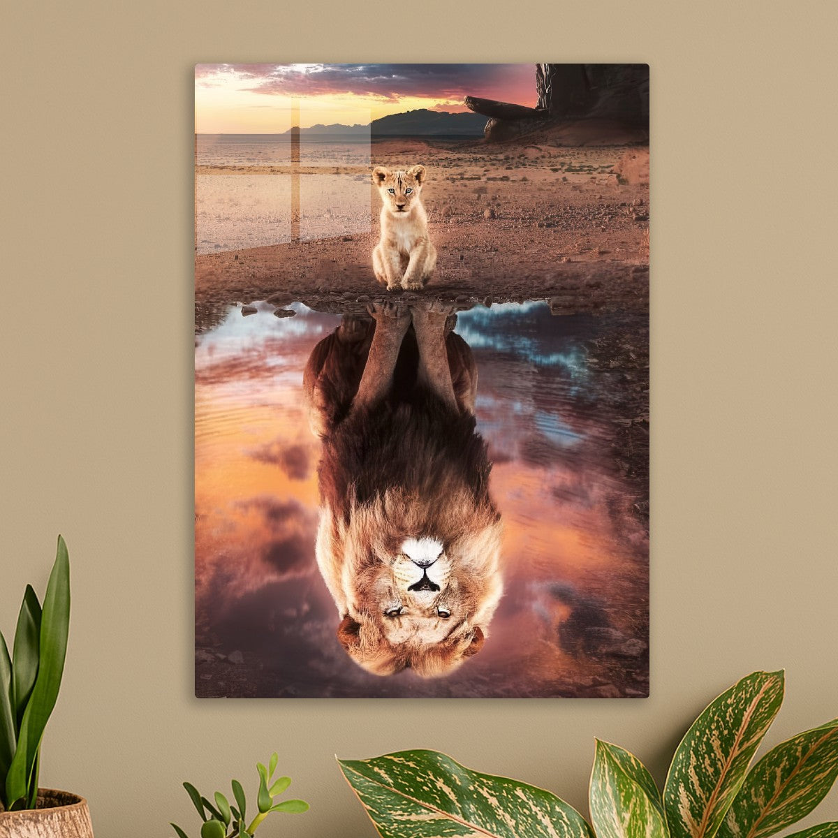 Lion Cub and Reflection