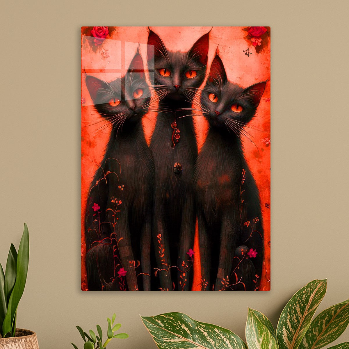 Three black cats