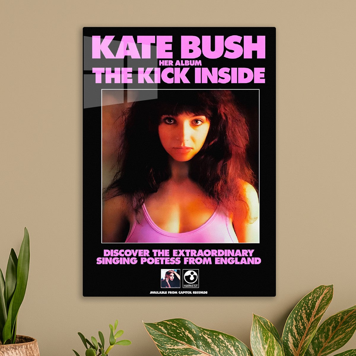 Kate Bush