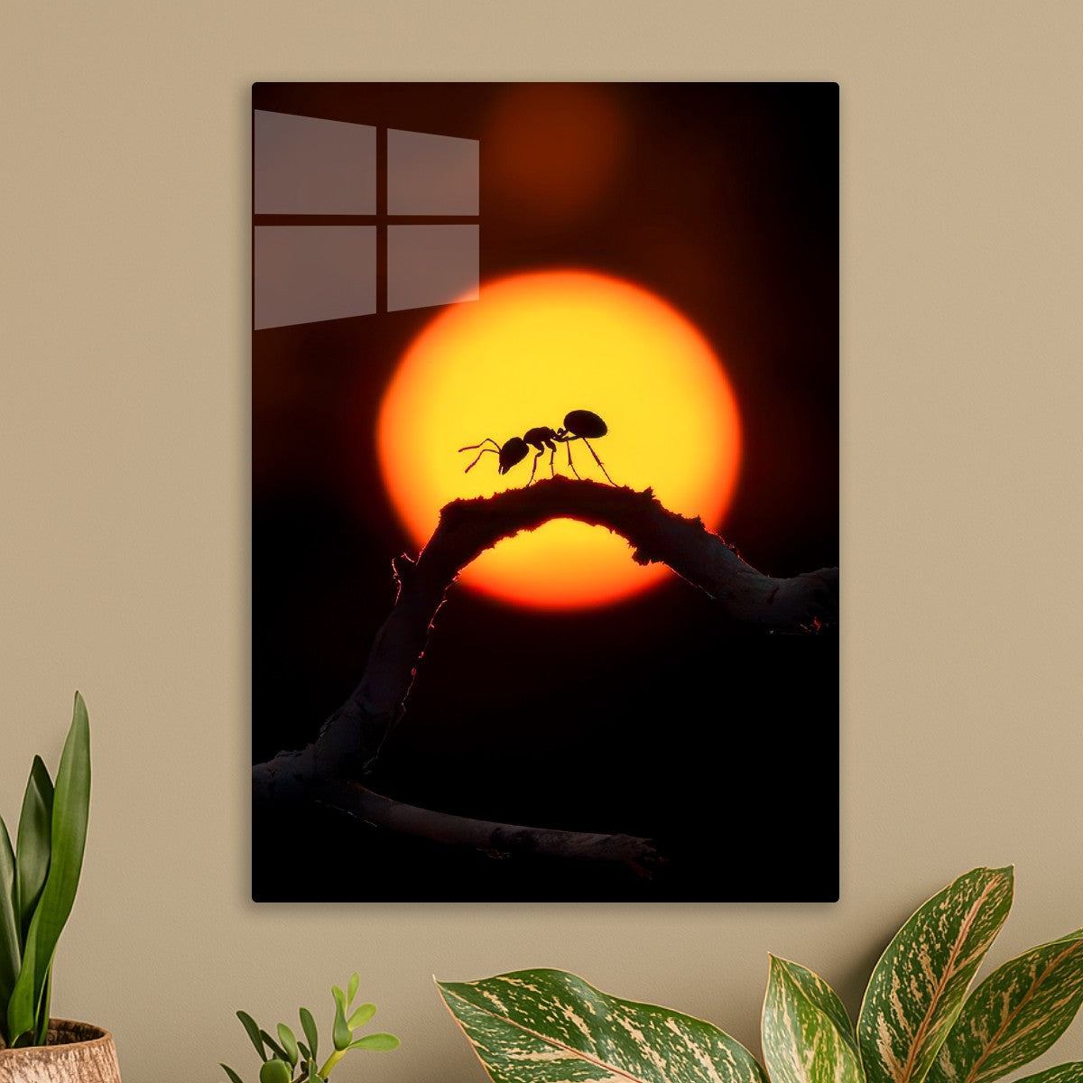 ants at night