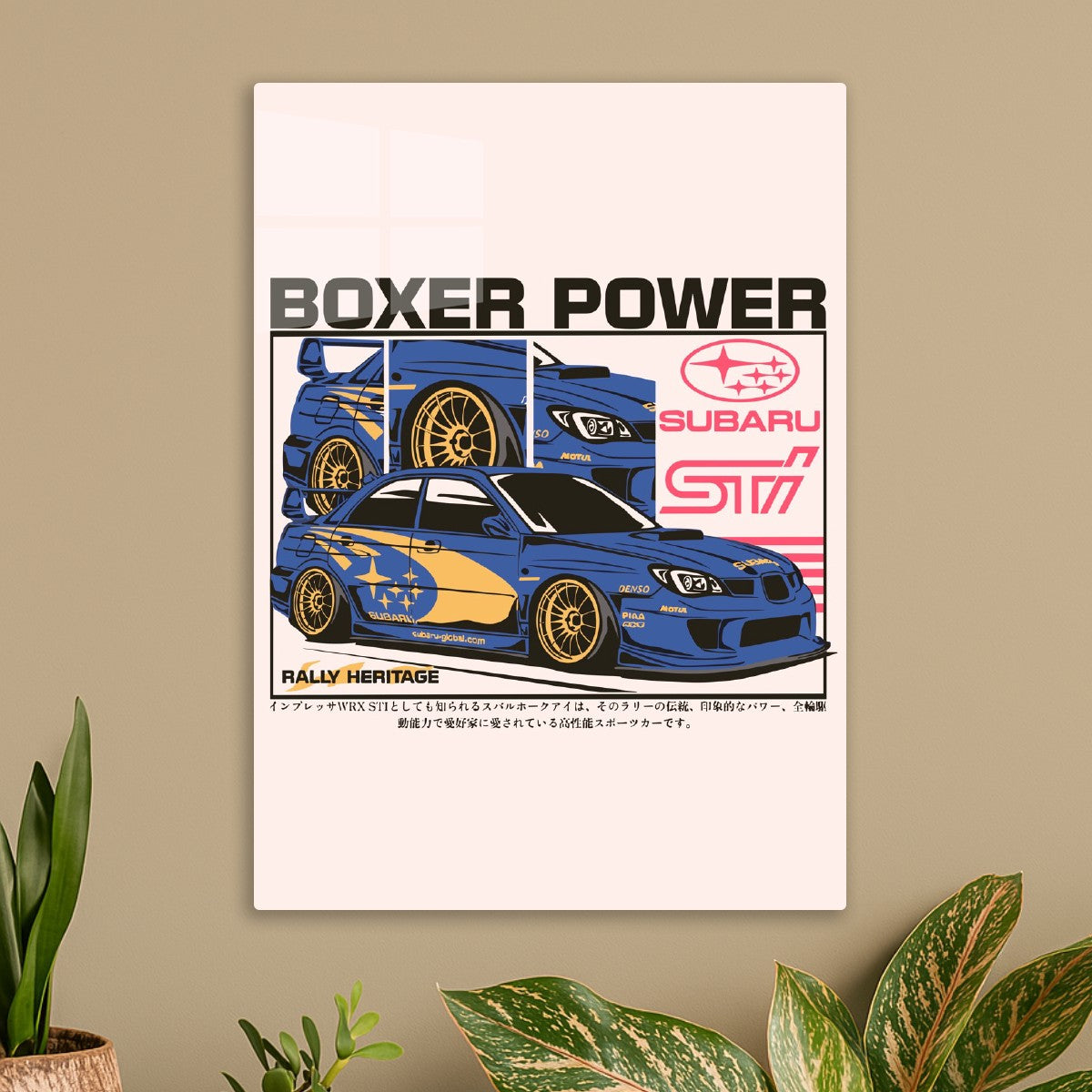 Boxer Power