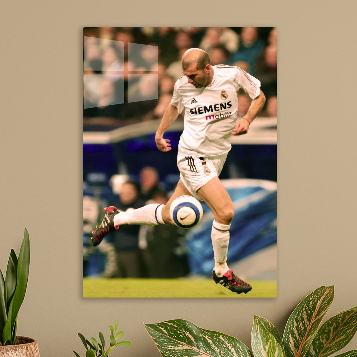 Zinedine Zidane 