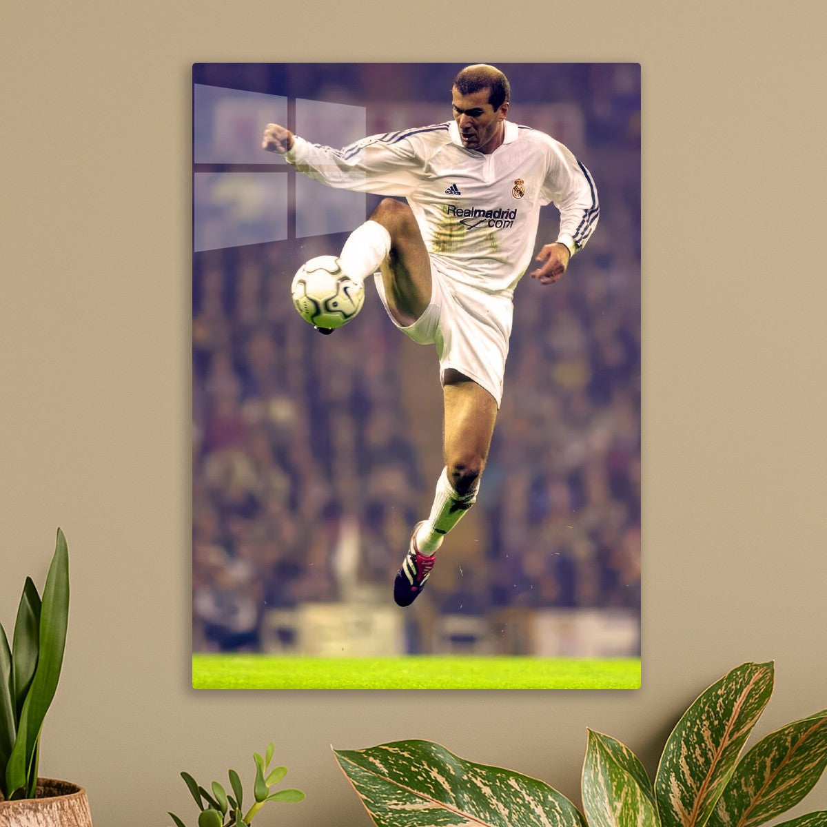 Zinedine Zidane 