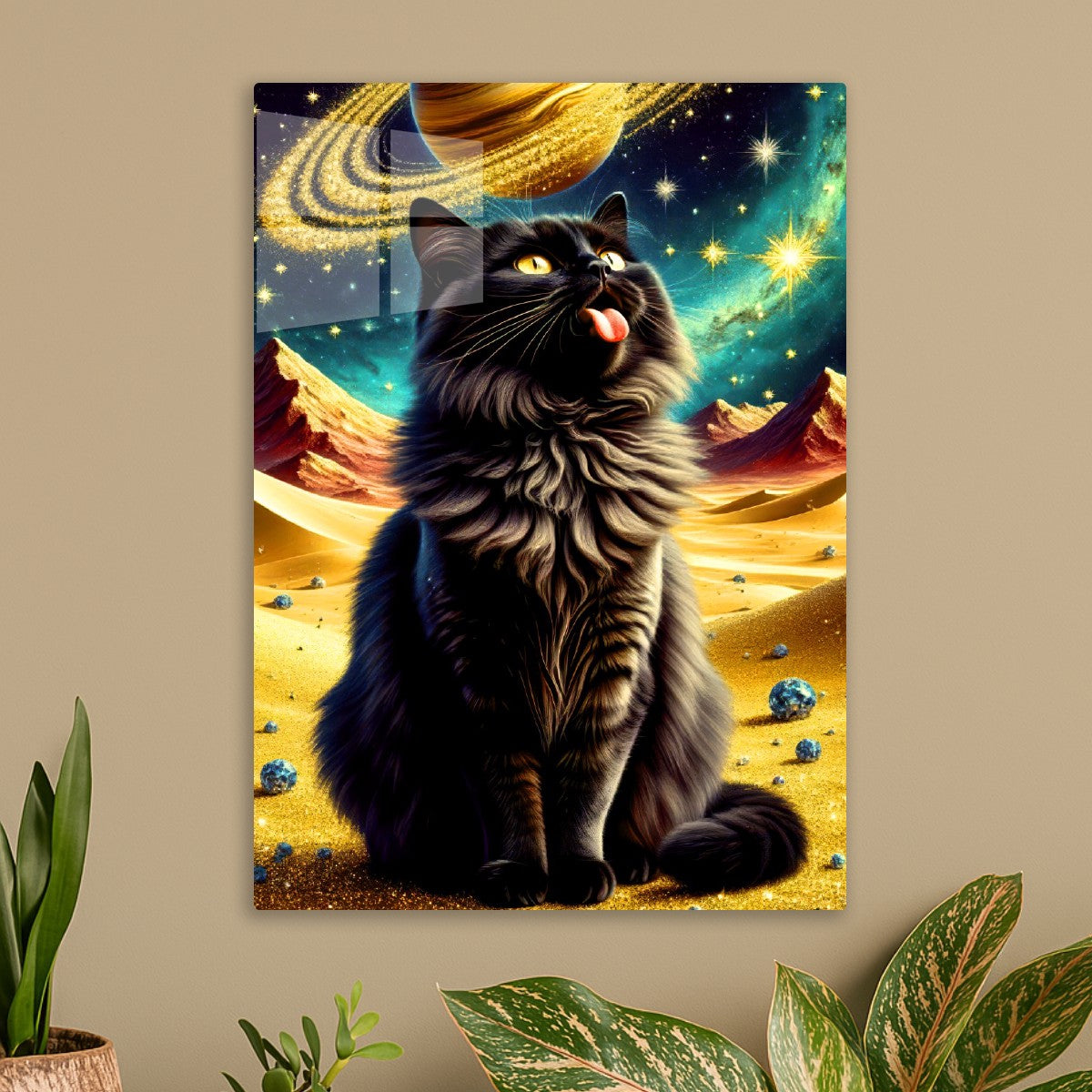 Cats are on planets