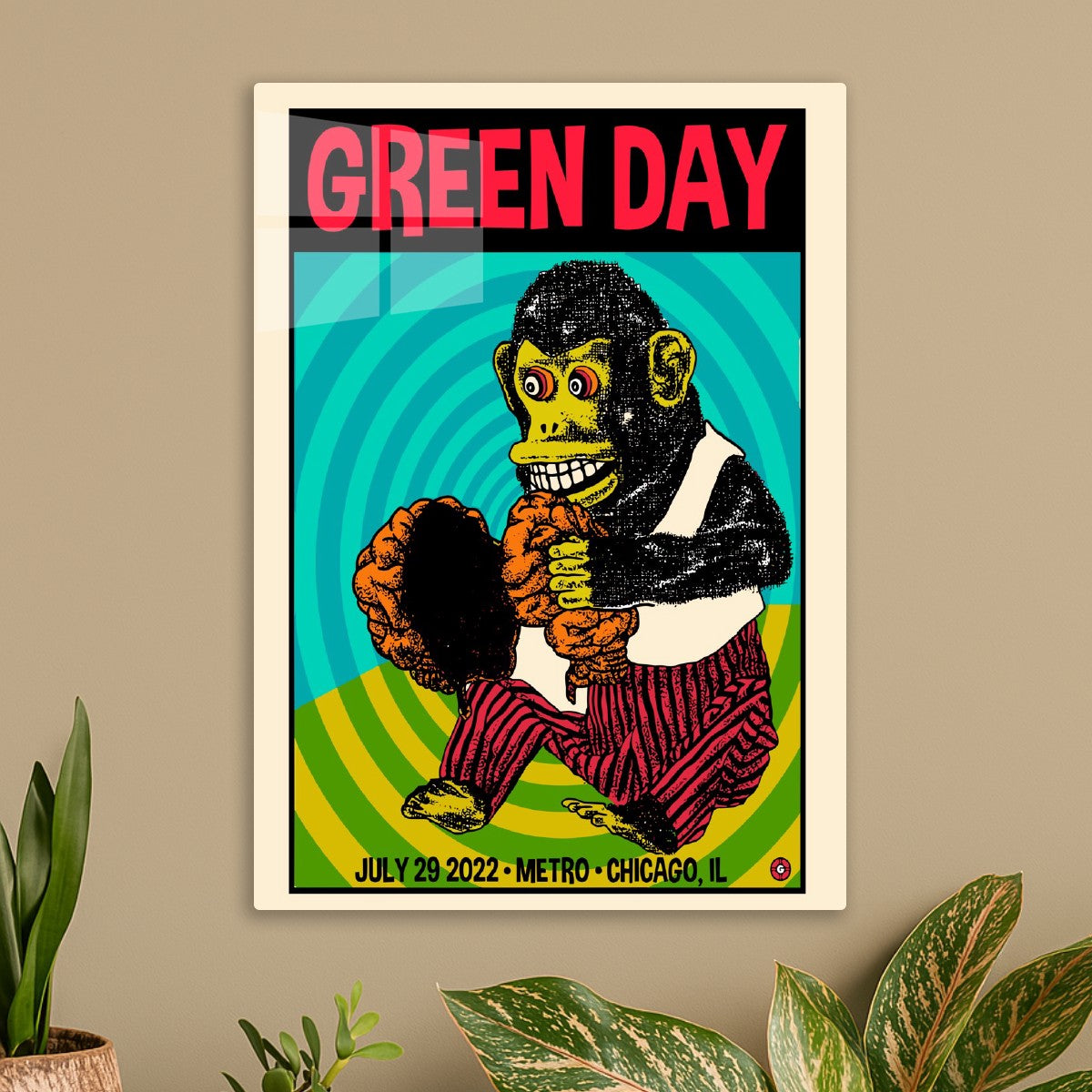 Green Day Monkey