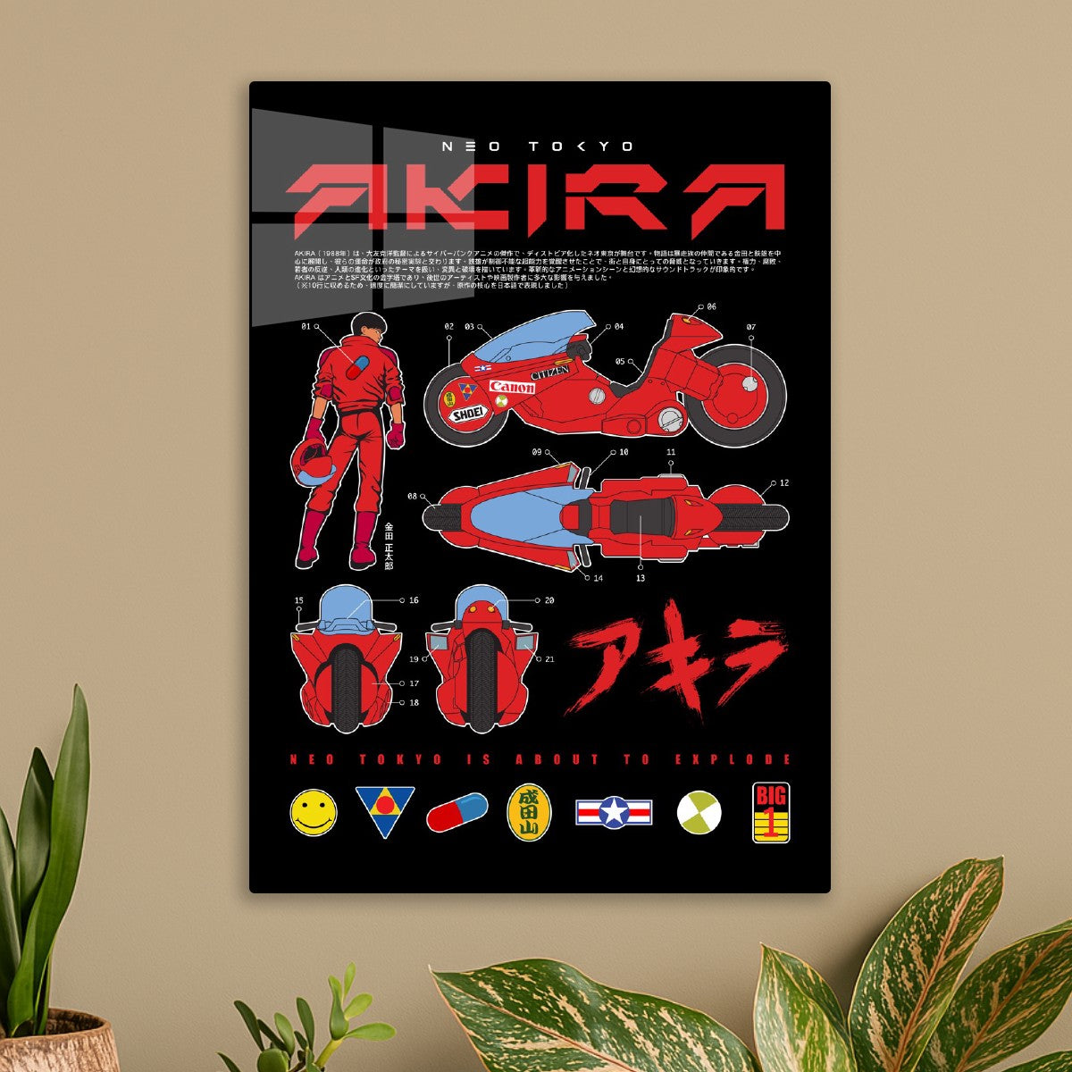 479 Akira Kaneda
