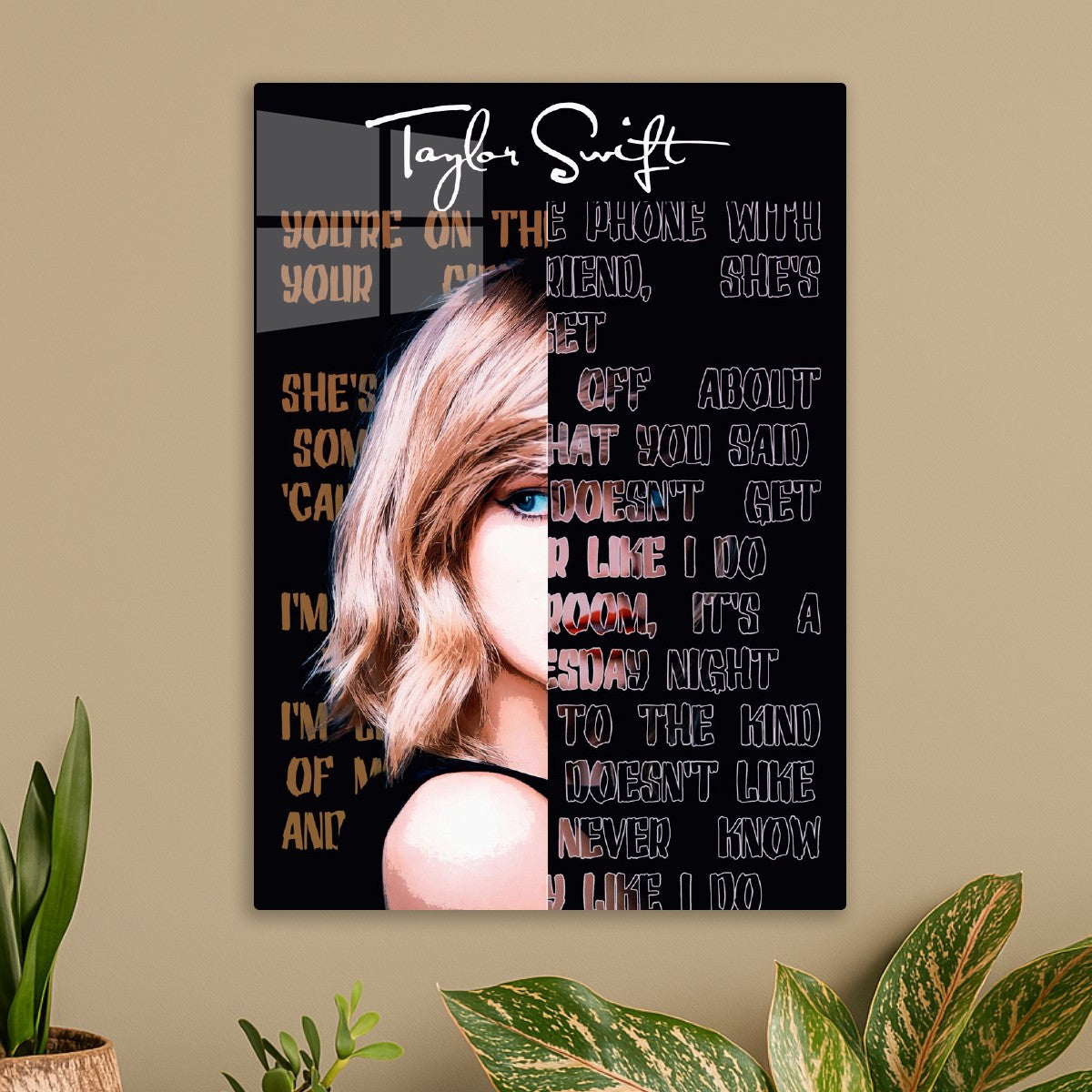 taylor swift belong with me