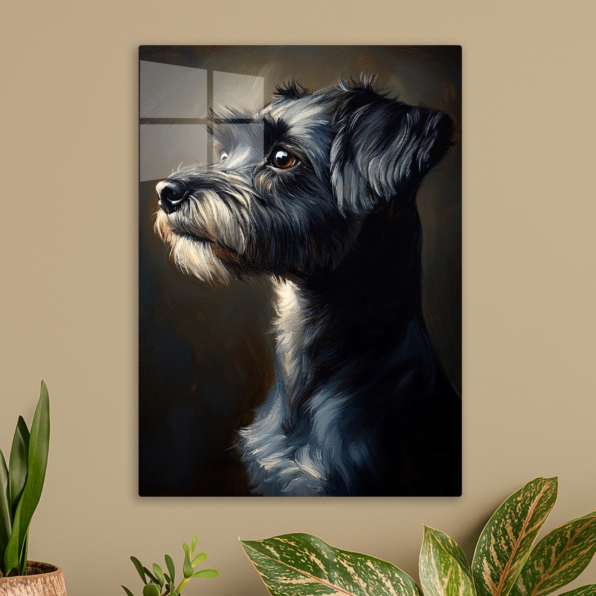 Miniature-schnauzer