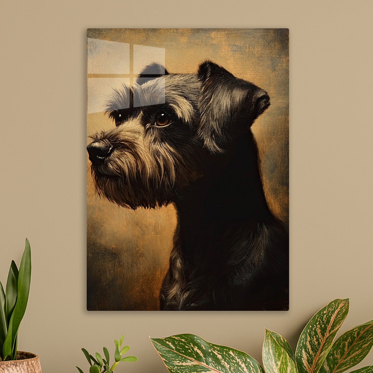 Miniature schnauzer portrait