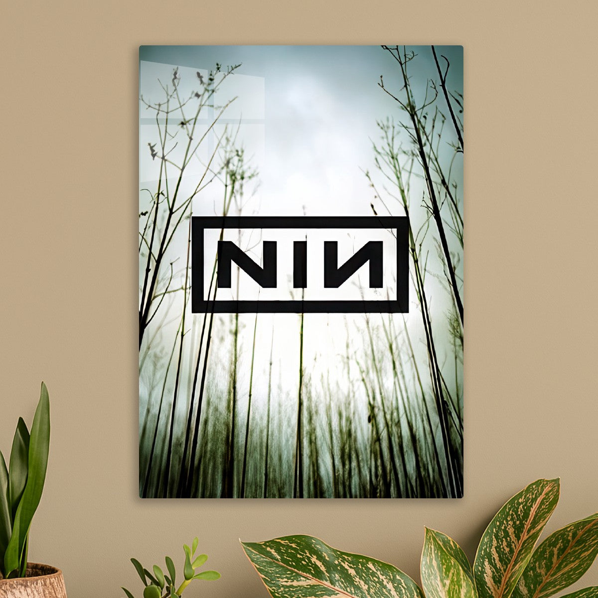 nin
