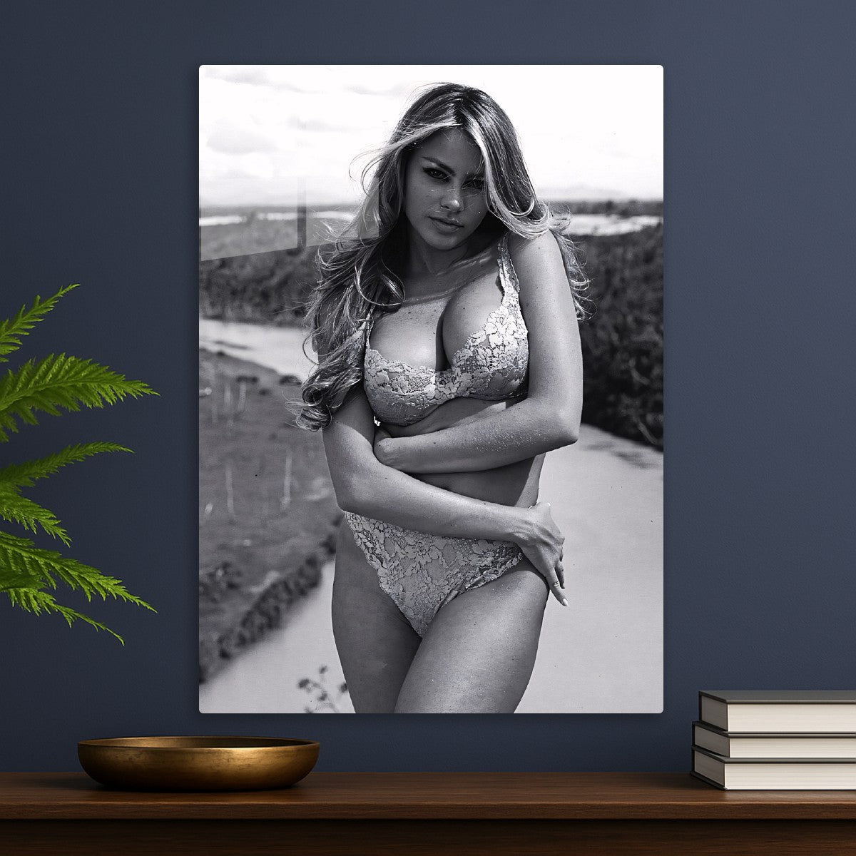 Sofía Vergara