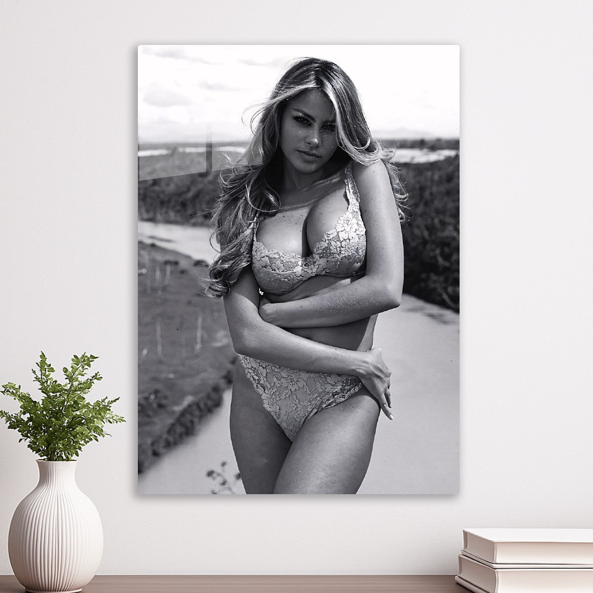 Sofía Vergara