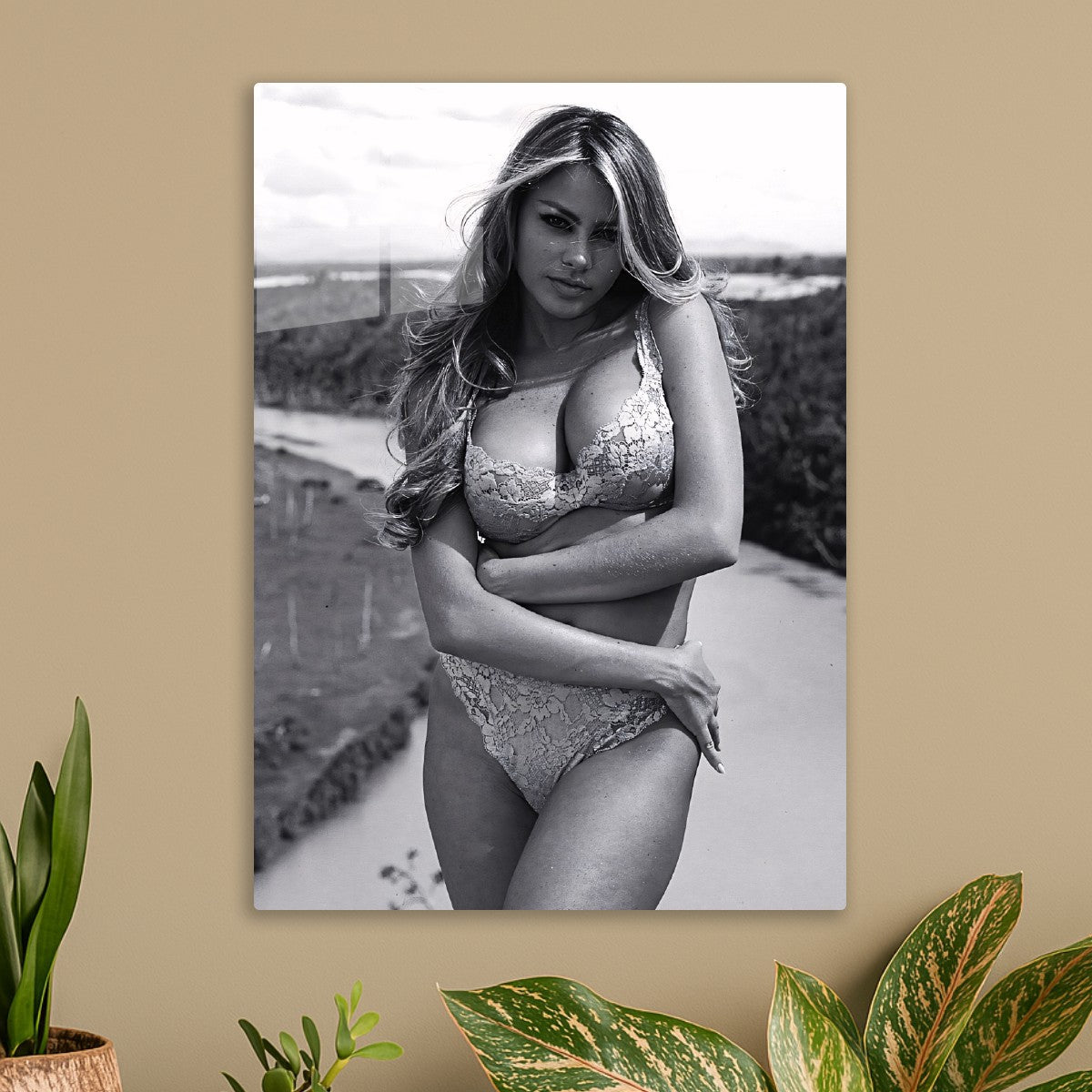 Sofía Vergara