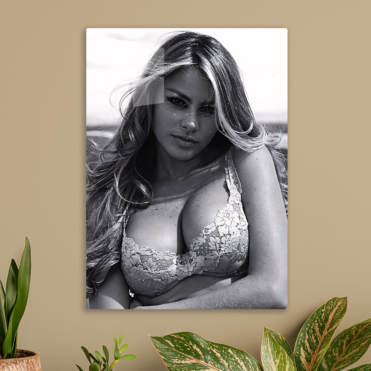 Sofía Vergara