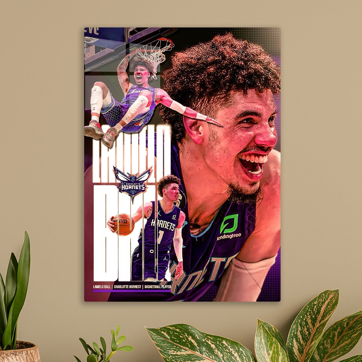 lamelo ball