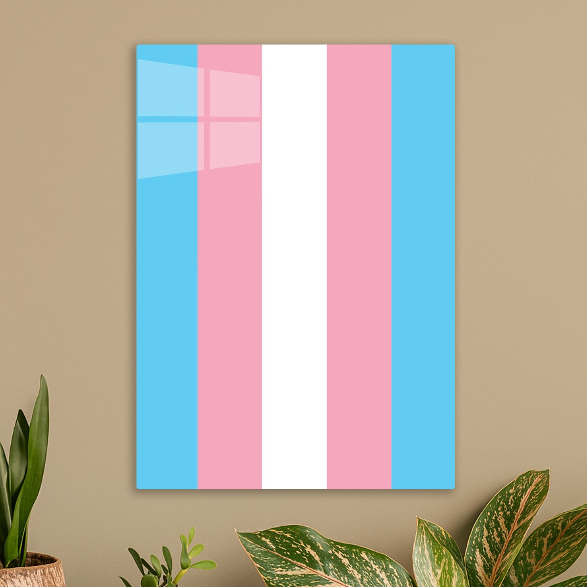 Transgender Pride Flag