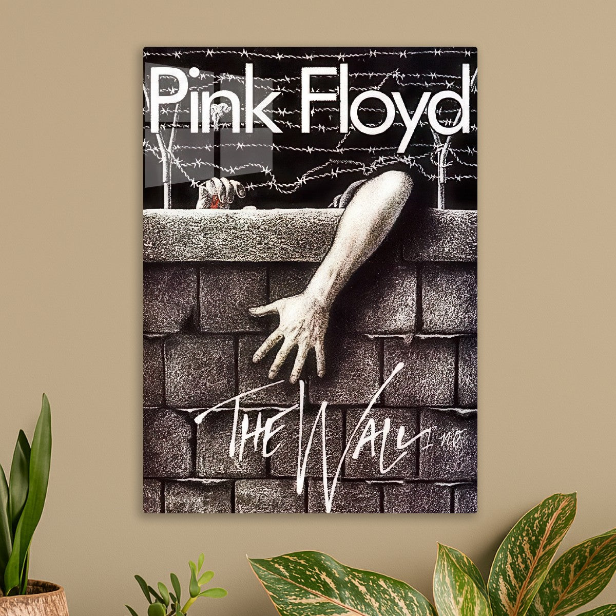 pink floyd