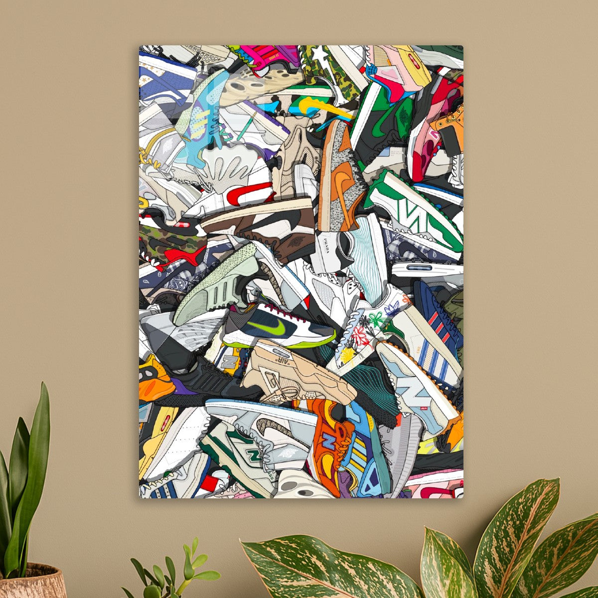 Sneakers Collection 