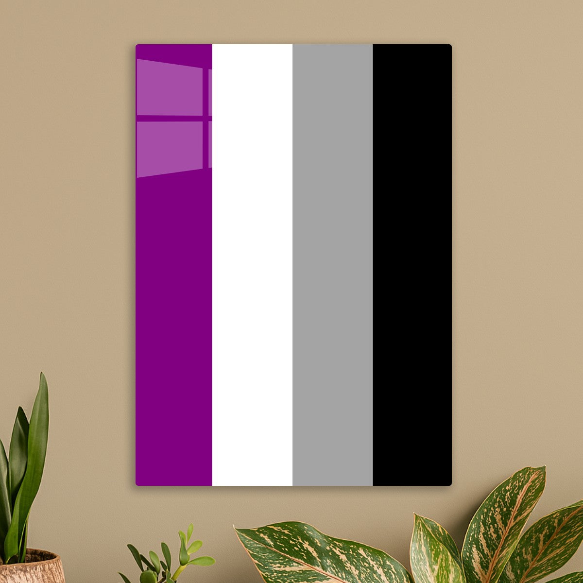 Asexual Pride Flag