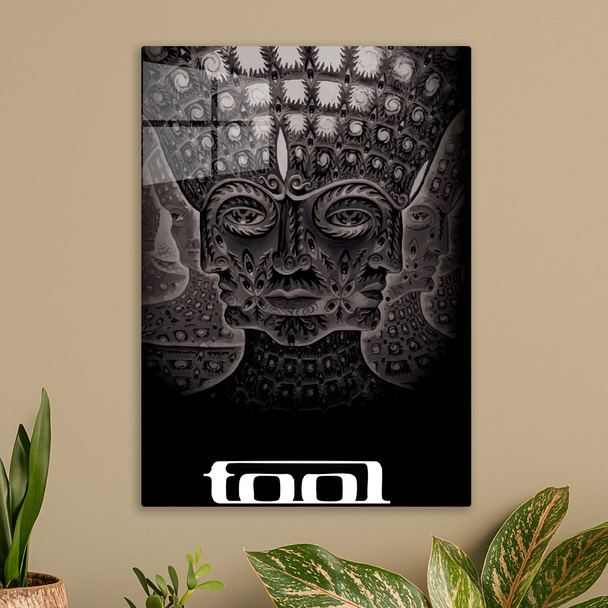 TOOL band