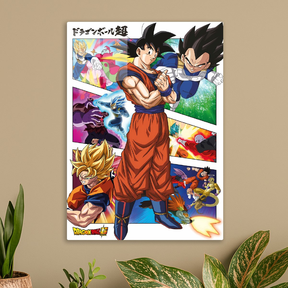 dragon ball