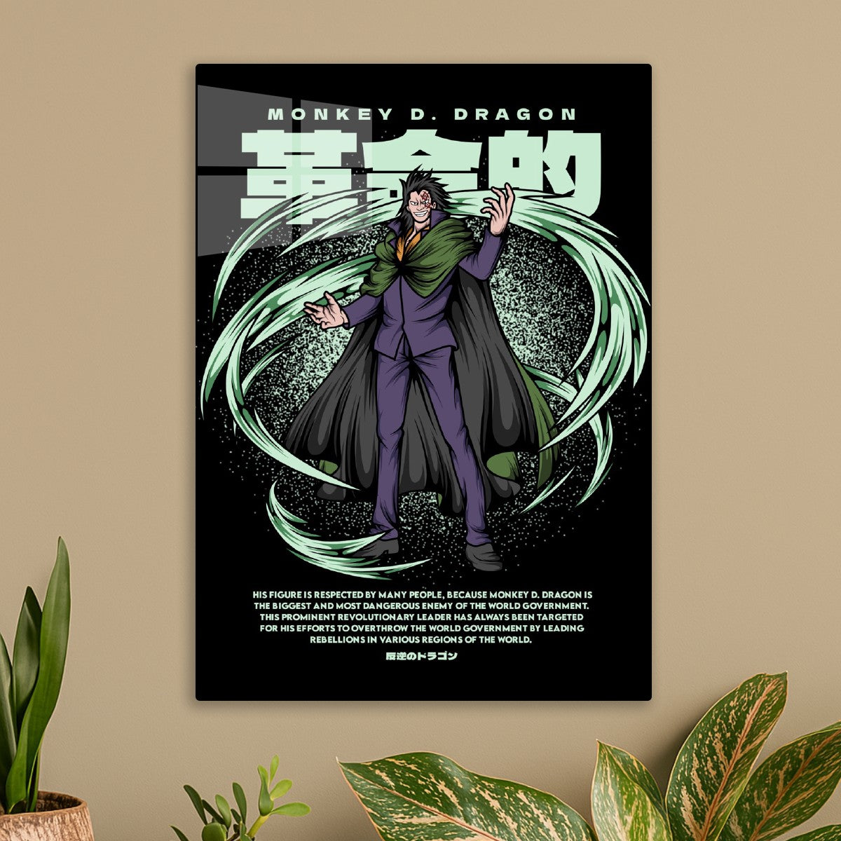 Monkey D. Dragon Leader Art