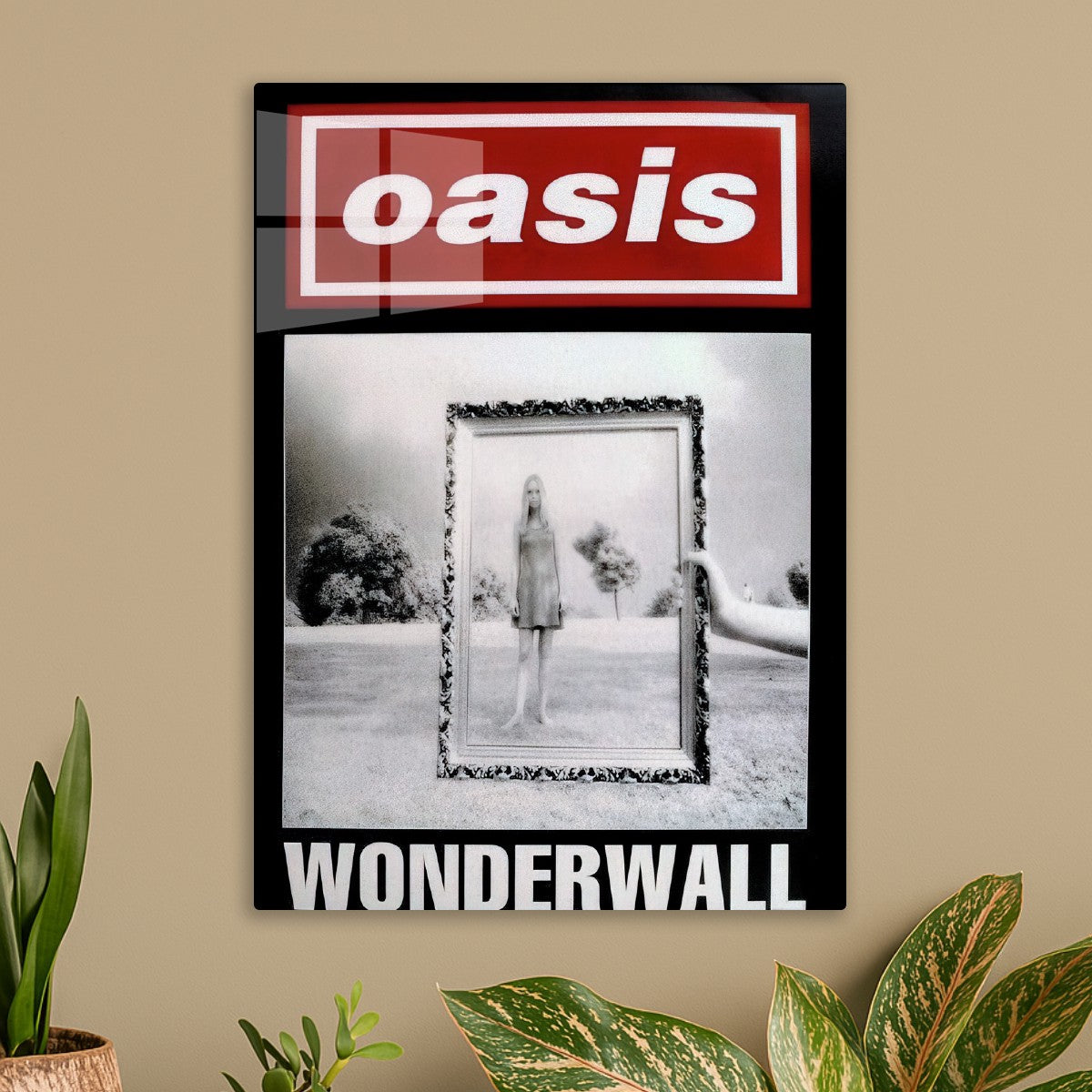 Oasis