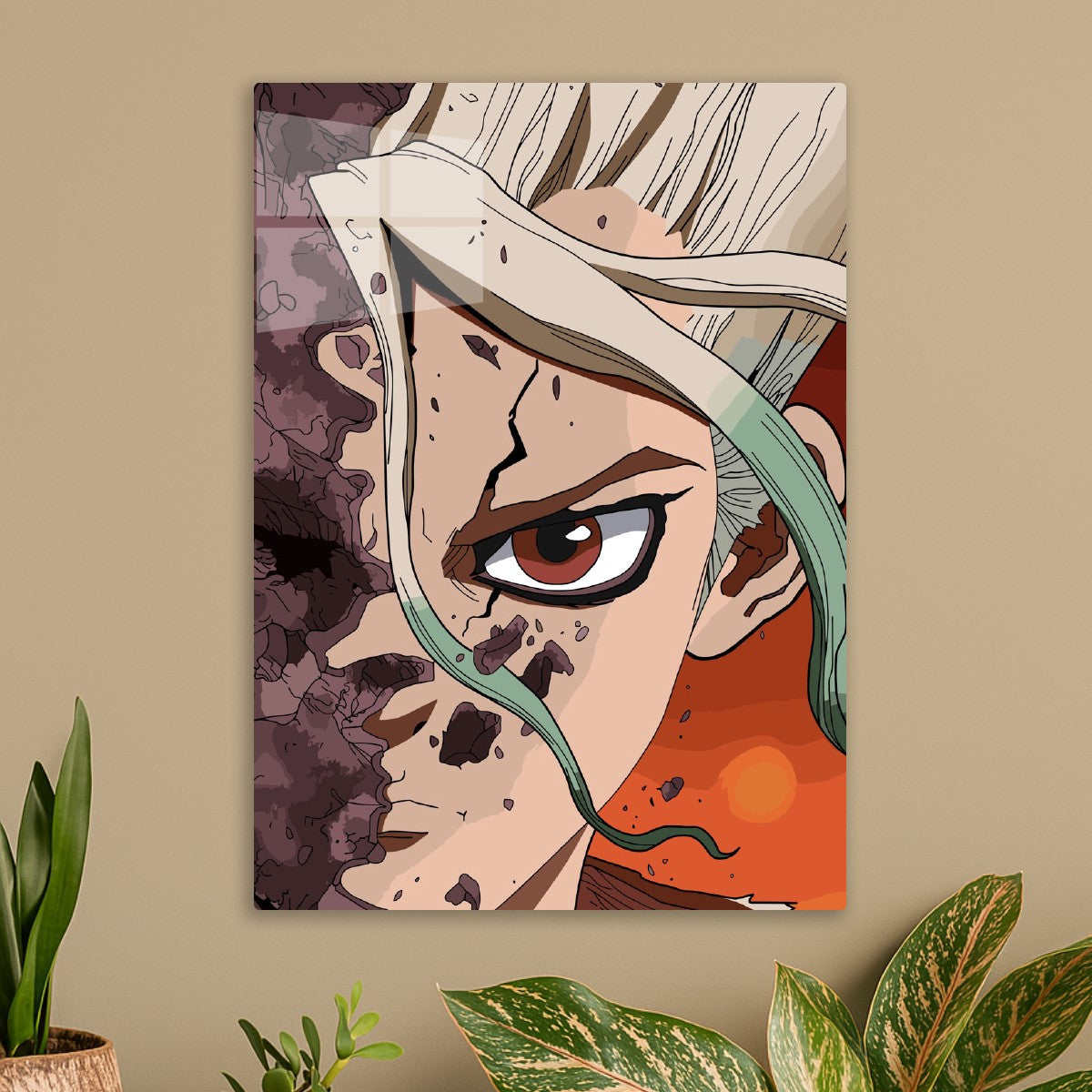 dr stones