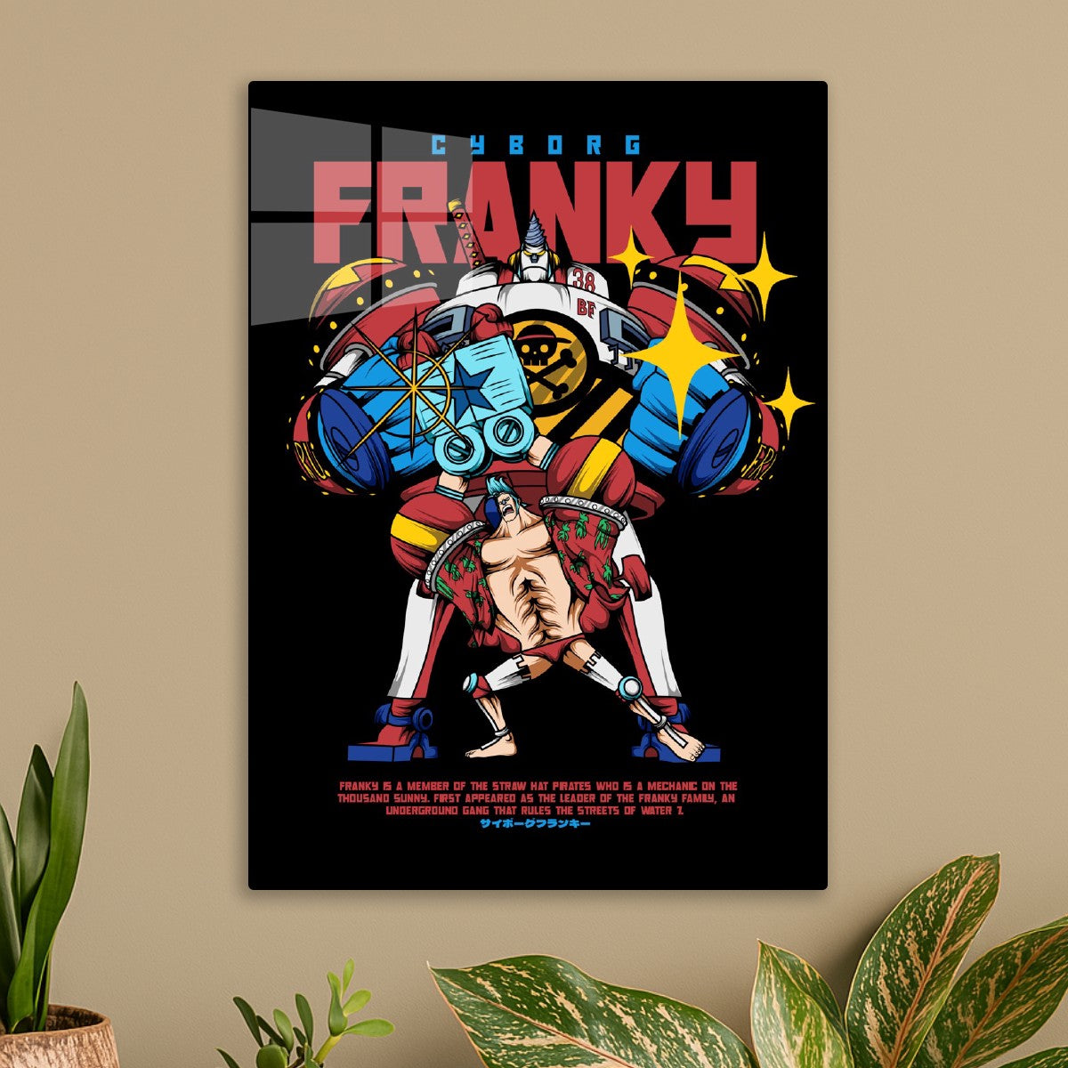 Cyborg Franky Super Style