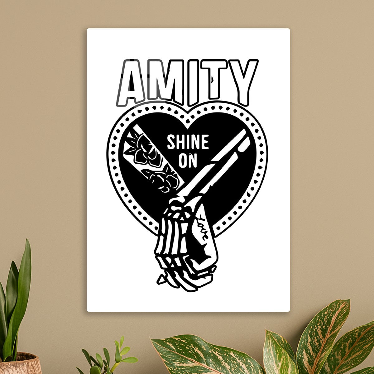 Amity Shine On