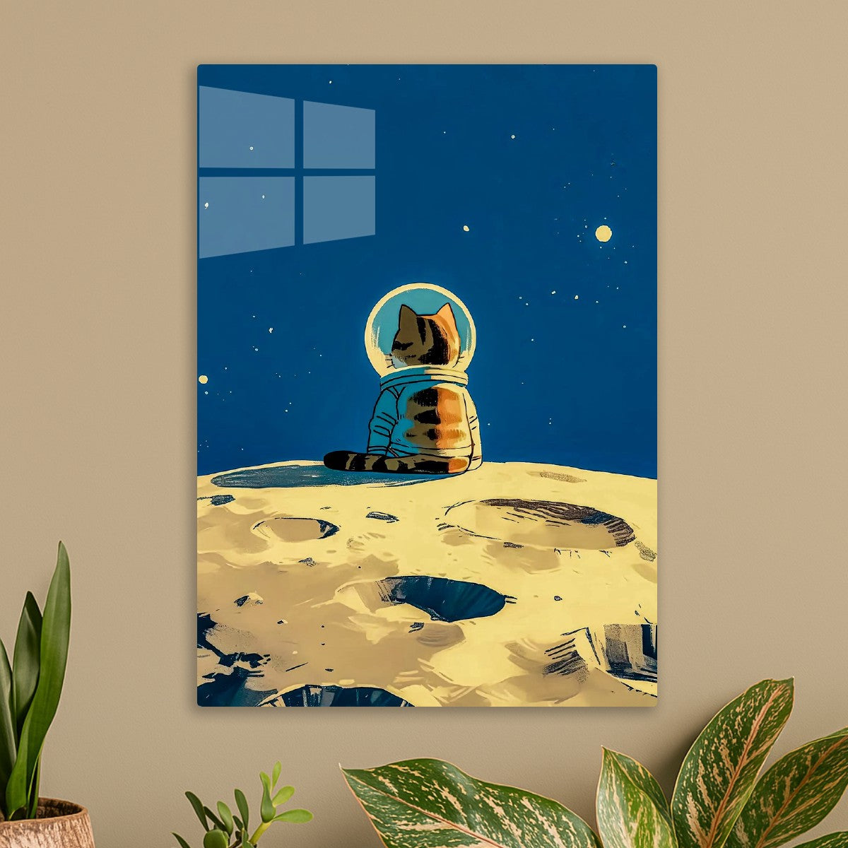 Cat Moon