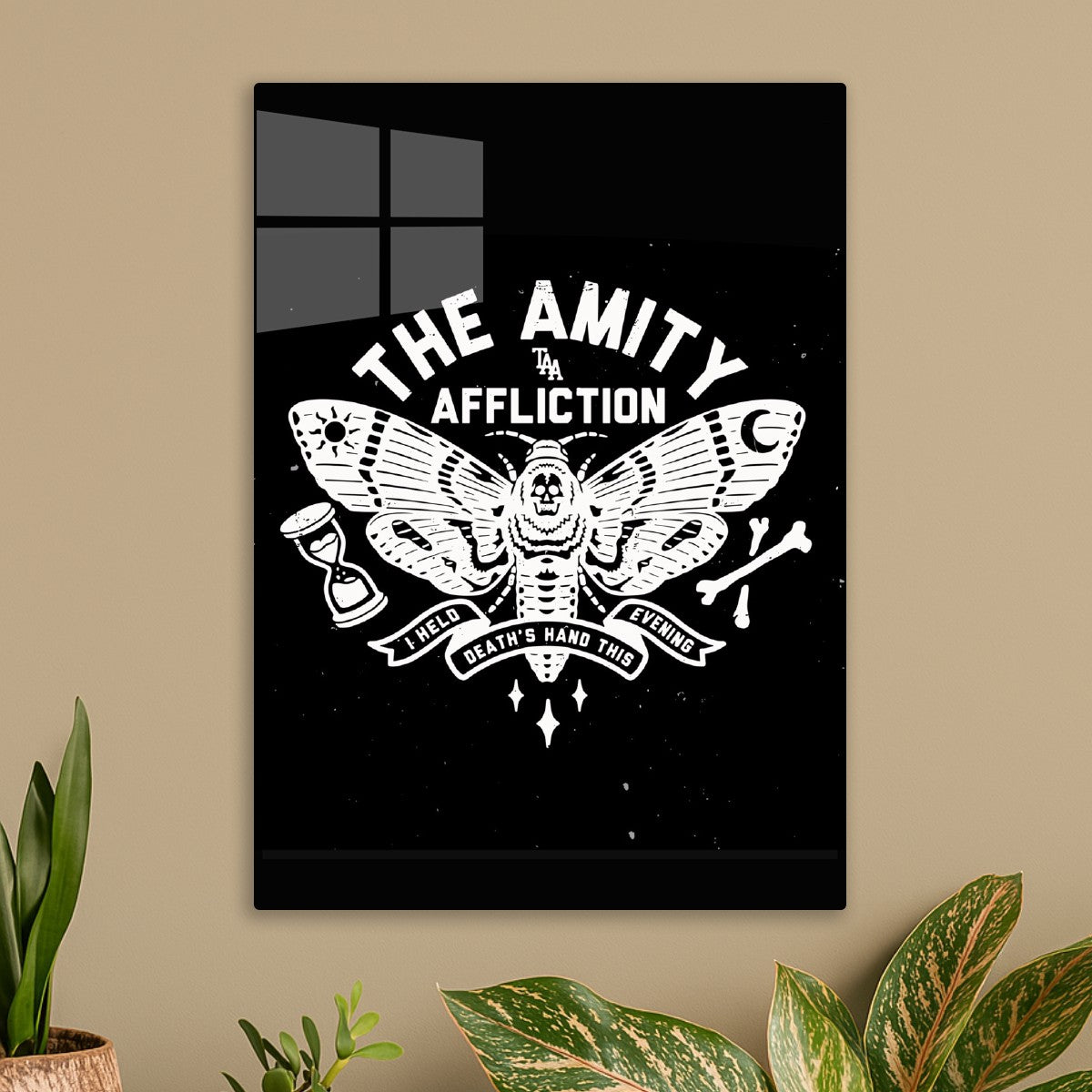 The Amity