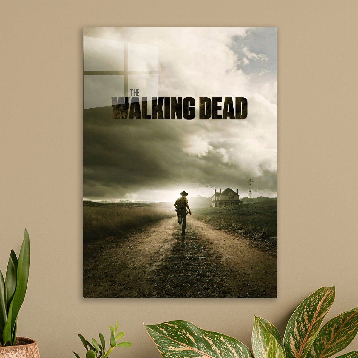 the walking dead