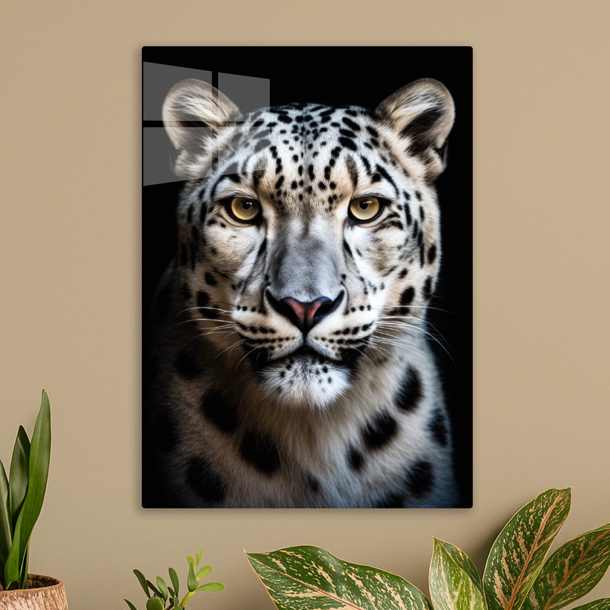 A Leopard
